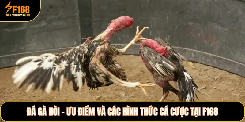 Đá Gà Nòi